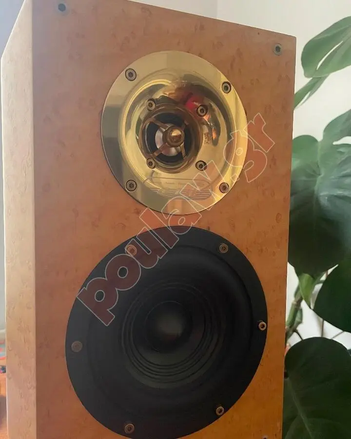 American Acoustic Development AAD 2001