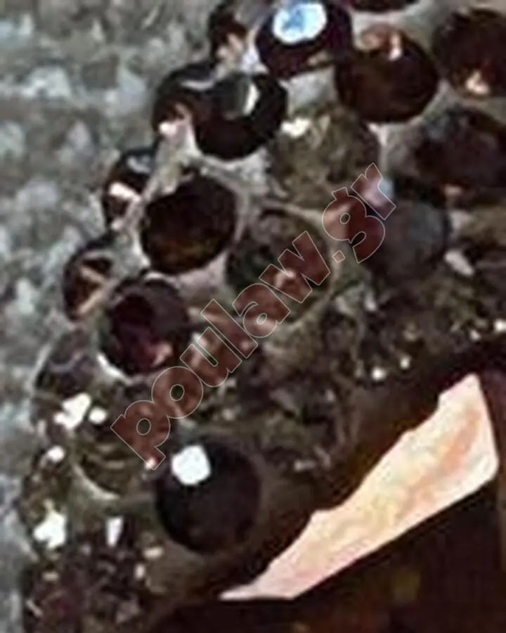 Συλλεκτικό Μενταγιόν Swarovski 