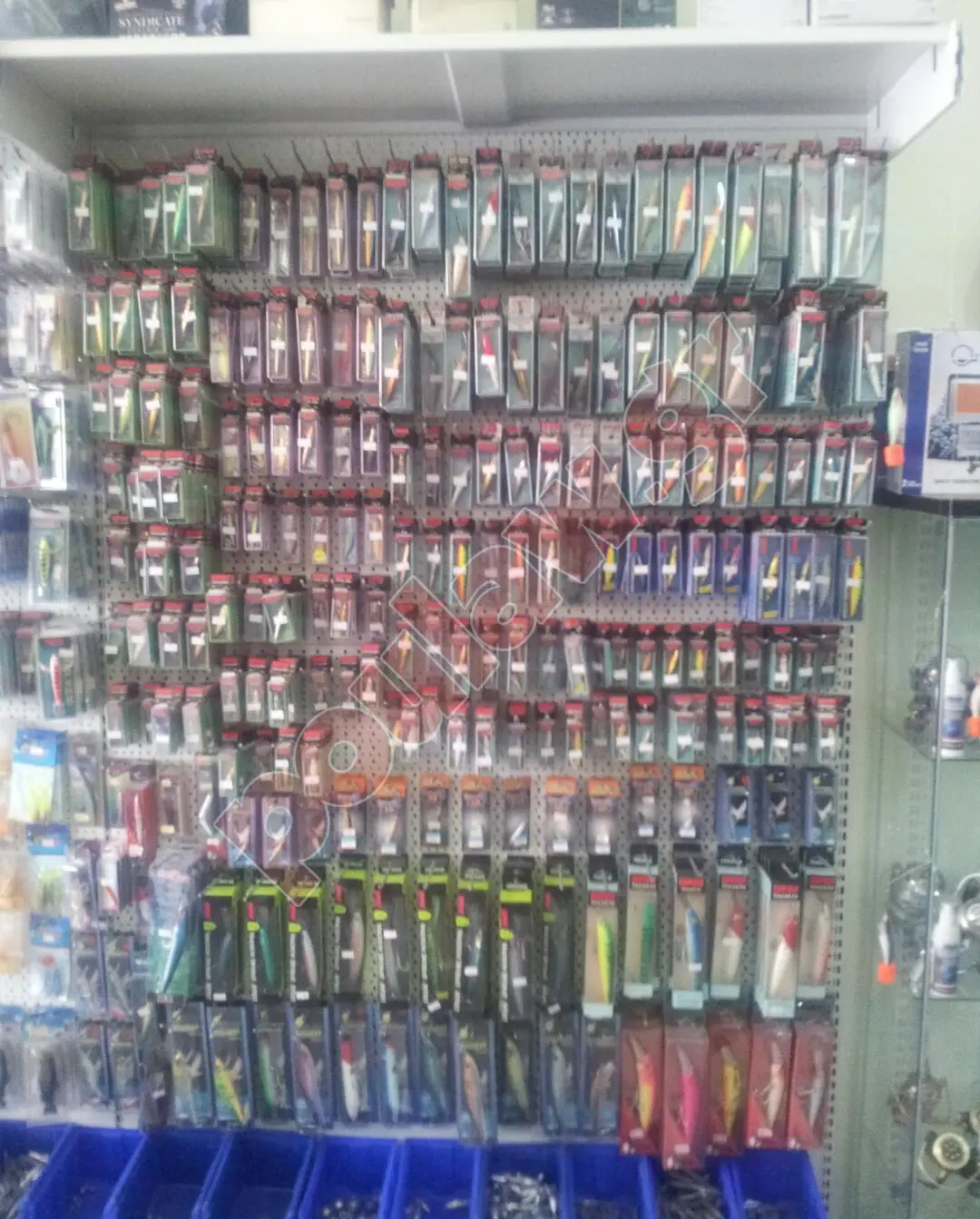 ΕΙΔΗ ΑΛΙΕΙΑΣ ΔΟΛΩΜΑΤΑ ΛΙΑΝΙΚΗ ΧΟΝΔΡΙΚΗ