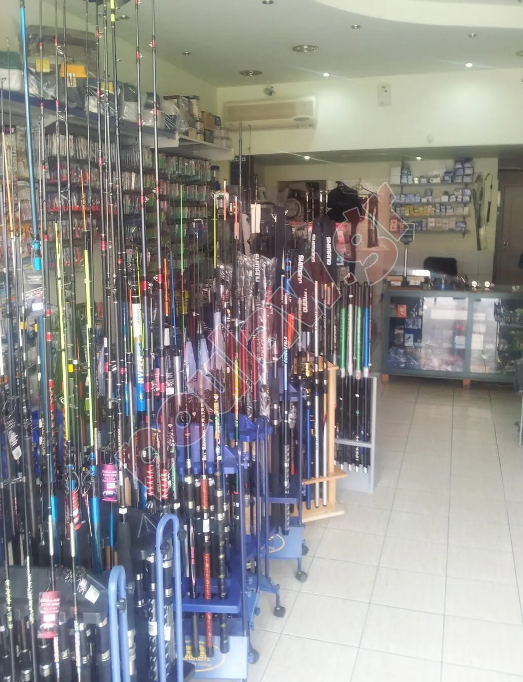 ΕΙΔΗ ΑΛΙΕΙΑΣ ΔΟΛΩΜΑΤΑ ΛΙΑΝΙΚΗ ΧΟΝΔΡΙΚΗ